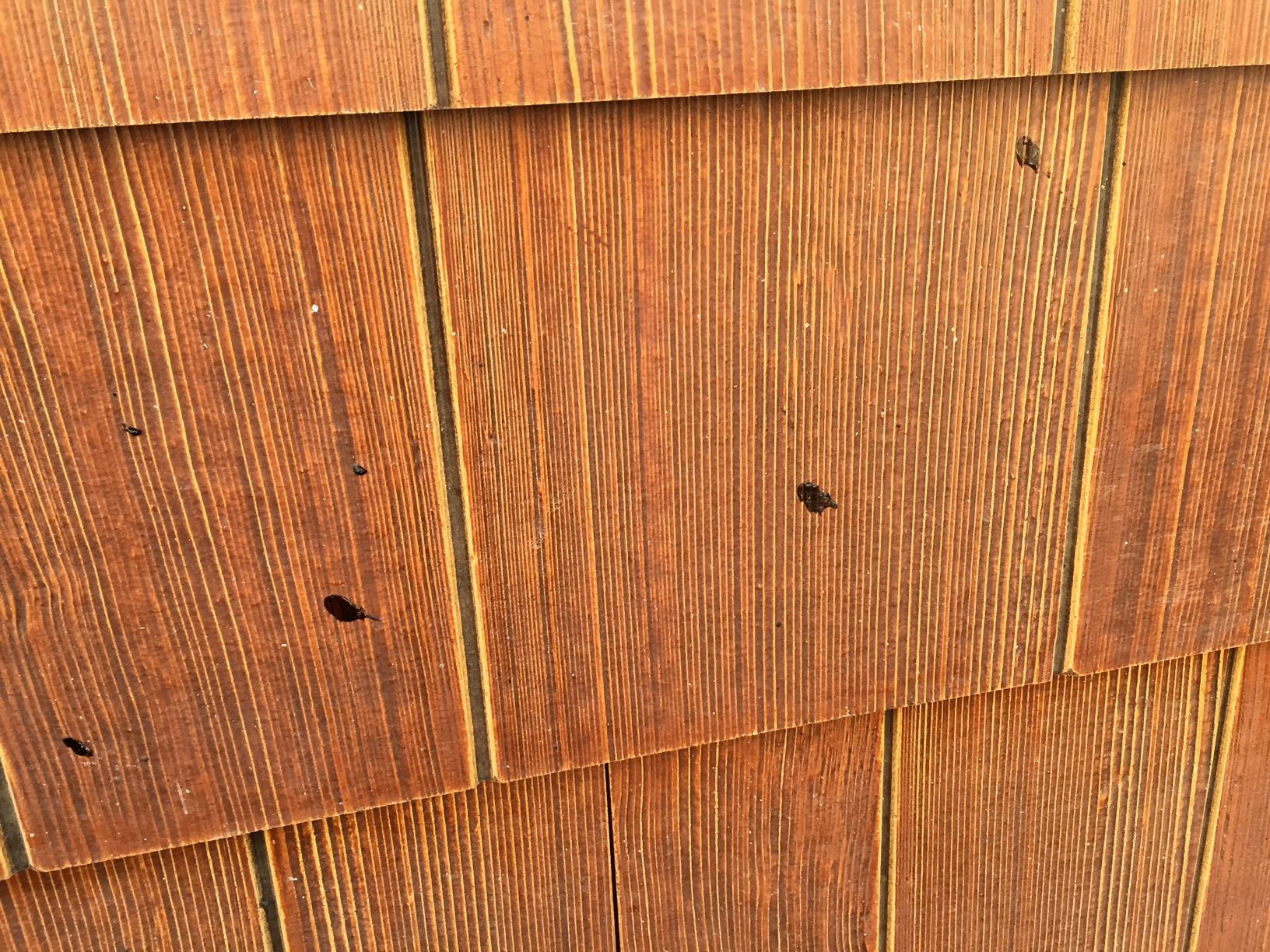 Redwood Valley Mendocino Lake Complex Fire