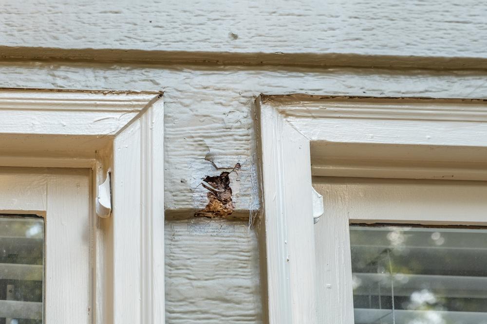 Close-up showing damage to house siding between two windows.